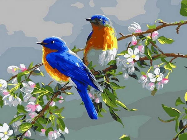 Набор юного художника 20х30 ВЕСЕННИЕ ПТИЦЫ(15 цветов)