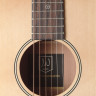 JAMES NELIGAN BES-A N акустическая гитара