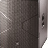 DAS Audio VANTEC-18A Сабвуфер активный