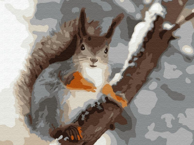 Картина по номерам 15х20 БЕЛОЧКА (15 цветов)