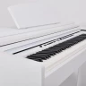 Artesia DP-7 White Satin цифровое пианино