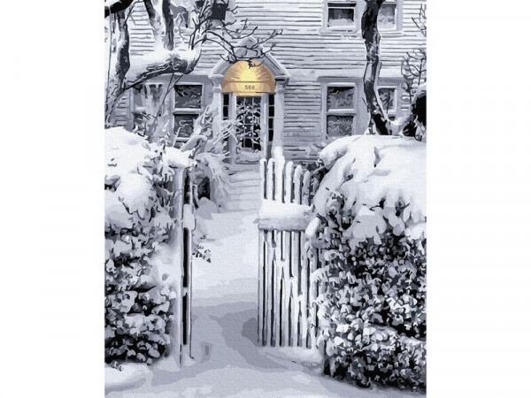 Картина по номерам 40х50 БЕЛЫЙ СНЕГ УКРАСИЛ ГОРОД (16 цветов)