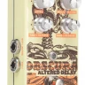 Педаль эффектов DIGITECH OBSCURA