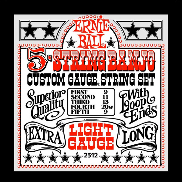 Комплект струн для банджо Ernie Ball P02312, 5 шт