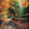 Картина по номерам 30х30 В осеннем парке (17 цветов)