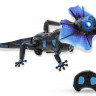 ИК Ящерица Best Fun Toys 9918 Lizardbot свет