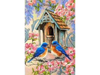 Набор юного художника 20х30 ПТИЦЫ У СКВОРЕЧНИКА 17 цветов)