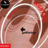 Комплект струн для акустической гитары GALLI STRINGS AGB1253