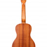 KALA KA-C Kala Mahogany Concert Ukulele укулеле-концерт