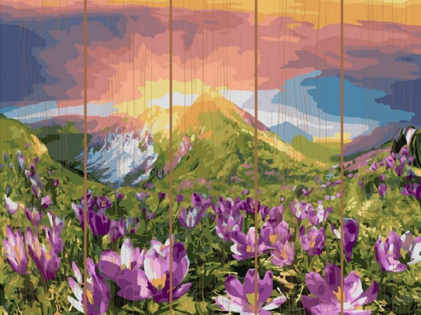 Картина по номерам на дереве 40х50 ВОСХОД (28 цветов)