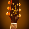 TAKAMINE PRO SERIES 4 P4DC электроакустическая гитара