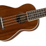 FENDER Seaside Soprano Uke Pac укулеле-сопрано с чехлом-тюнером и струнами в наборе