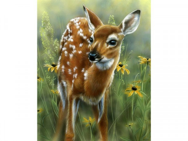 Картина по номерам с цветной схемой на холсте 30х40 Олененок (22 цветов)