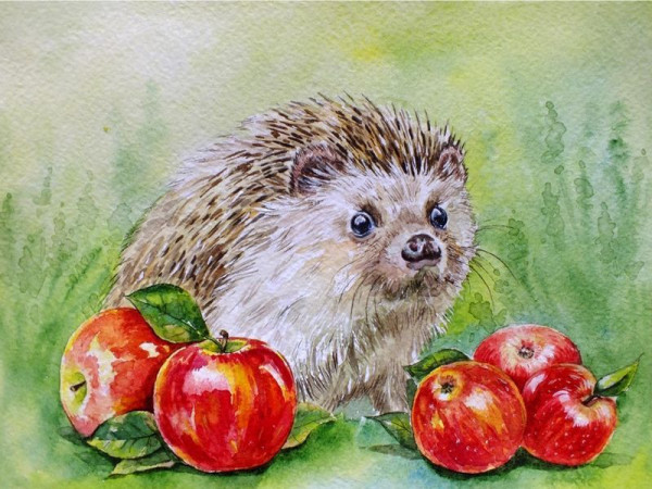 Картина по номерам с цветной схемой на холсте 30х40 Подарок от друзей (18 цветов)