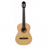 TERRIS C-450A NA 4/4 классическая гитара
