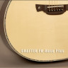 Crafter PK-Rose Plus электроакустическая гитара