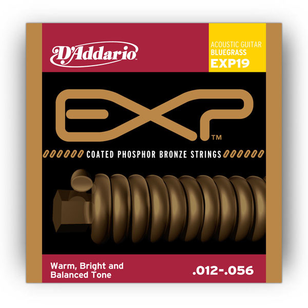 D'Addario EXP19